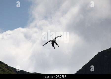 Meer-Seeadler, Isle Of Skye Stockfoto