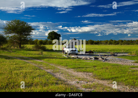 Camping in der Wildnis, Nyae Nyae Conservancy, in der Nähe von Tsumkwe, Namibia, Afrika Stockfoto