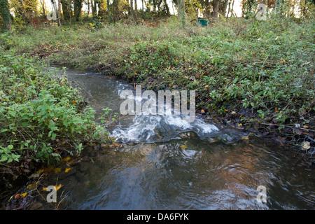 Fisch-Pass-Bypass-Kanal-Struktur mit Kopfsteinpflaster und Schotter Riffle Byrons Pool auf dem Fluss Cam, Cambridge, Cambridgeshire, Großbritannien Stockfoto