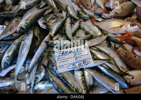 Algarve, Fisch, Fisch Fischmarkt, Lagos, Portugal, Essen Stockfoto