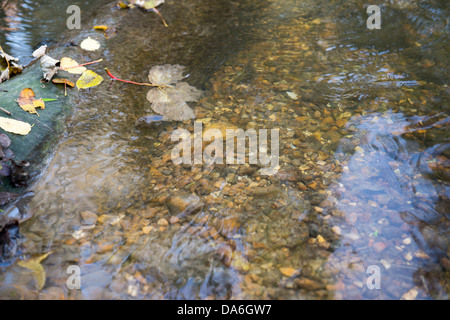 Fisch-Pass-Bypass-Kanal-Struktur mit Woody Geröll und Kies auf Byrons Pool am Fluss Cam, Cambridge, Cambridgeshire, Großbritannien Stockfoto