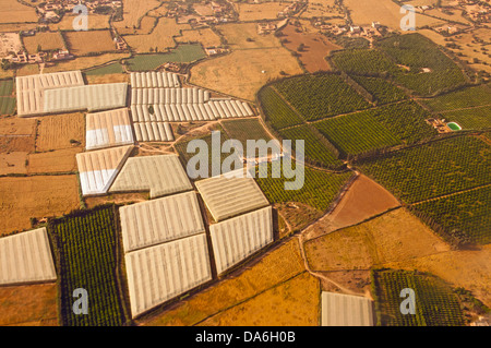 Luftbild, Gewächshäuser, Obstplantagen und Gemüsefeldern Stockfoto