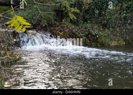 Fisch-Pass-Bypass-Kanal Struktur auf Byrons Pool am Fluss Cam, Cambridge, Cambridgeshire, Großbritannien Stockfoto