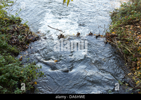 Fisch-Pass-Bypass-Kanal Struktur auf Byrons Pool am Fluss Cam, Cambridge, Cambridgeshire, Großbritannien Stockfoto