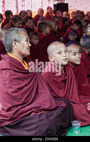 Buddhistische Mönche. Bodhgaya, Bihar, Indien Stockfoto