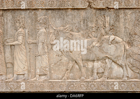 Bas-Reliefs an den Wänden der Apadana Palast und Treppe, Persepolis, Zentraliran Stockfoto