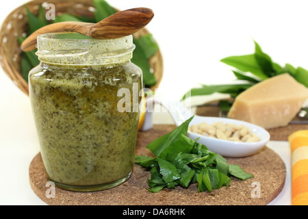 Bärlauch-Pesto mit frischem Bärlauch und Pinienkernen Stockfoto