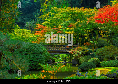 USA, USA, Amerika, Oregon, Portland, japanischer Garten, Bäume, Arboretum, Brücke, Farbe, Herbst, Gärten, Landschaft, Ahorn Stockfoto