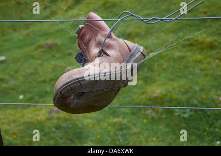 Fuß Boot befestigt an einem Zaun in Raglan Küste, Neuseeland. Stockfoto