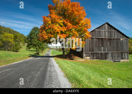 HERBST LAUB COUNTRY ROAD INDIANA COUNTY PENNSYLVANIA USA Stockfoto