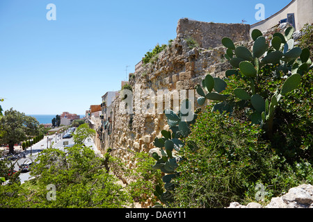 Stadtmauern in die römischen Ruinen von Tarraco Unesco World Heritage Site Tarragona Katalonien Spanien Stockfoto