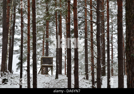 Jagd-Turm im Winterwald Stockfoto