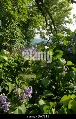 Die Stadt Bischofsburg angesehen von der alten Burg. Shropshire Stockfoto