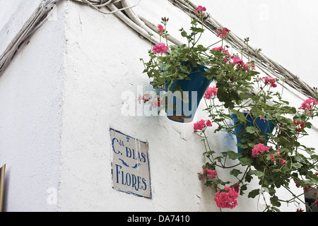 Traditionelles Haus dekoriert mit Blumen Töpfe (Calle de las Flores) Terrassen-2013.Cordoba,Andalusia,Spain,Europe. Stockfoto