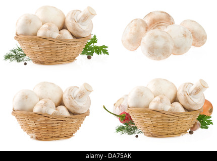 Pilze im Weidenkorb isoliert auf weißem Hintergrund Stockfoto