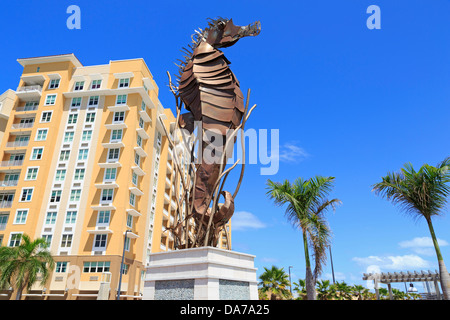 Seepferdchen von Jose Moralesin Bahia Urbana, San Juan, Puerto Rico, Karibik Stockfoto