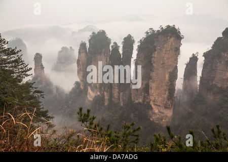 Geheimnisvolle Zhangjiajie Berge. Stockfoto