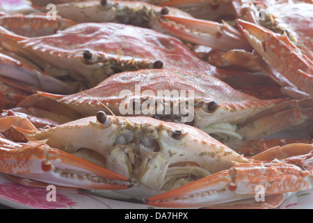 Große rote frische Krabben essen gedämpft Stockfoto