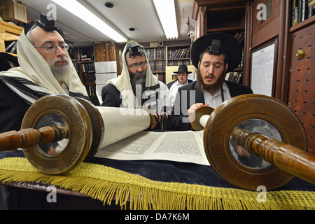 Lesung aus der Tora während Morgengebet innen Brooklyn chassidische jüdische Synagoge. Stockfoto