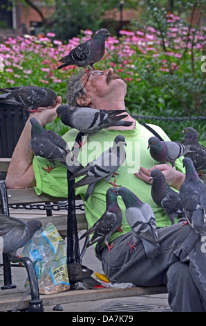 Porträt von Paul, der Mann, der die Tauben im Washington Square Park Greenwich Village Manhattan New York City füttert Stockfoto