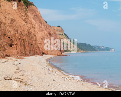 Leeren Strand zeigt Klippe Erdrutsch, Sidmouth, Devon, England Stockfoto