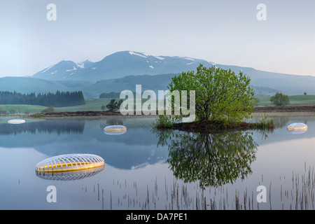 Die Land Art Arbeit bezeichnet Mégascospic Diatomeen, von Prisca Cosnier gemacht. Ein Projekt in den Horizont "Natur-Kunst" 2013 Rahmen Stockfoto