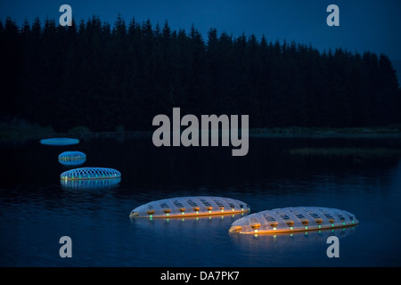 Die Land Art Arbeit bezeichnet Mégascospic Diatomeen, von Prisca Cosnier gemacht. Ein Projekt in den Horizont "Natur-Kunst" 2013 Rahmen Stockfoto