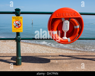 Nicht füttern Sie Tauben und Möwen Zeichen und orange Rettungsring am Strand von Sidmouth, Devon, England Stockfoto