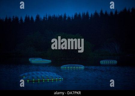 Die Land Art Arbeit bezeichnet Mégascospic Diatomeen, von Prisca Cosnier gemacht. Ein Projekt in den Horizont "Natur-Kunst" 2013 Rahmen Stockfoto