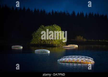 Die Land Art Arbeit bezeichnet Mégascospic Diatomeen, von Prisca Cosnier gemacht. Ein Projekt in den Horizont "Natur-Kunst" 2013 Rahmen Stockfoto