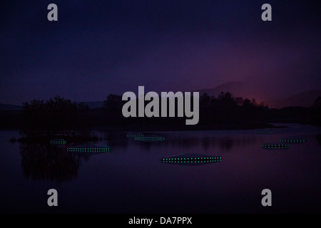 Die Land Art Arbeit bezeichnet Mégascospic Diatomeen, von Prisca Cosnier gemacht. Ein Projekt in den Horizont "Natur-Kunst" 2013 Rahmen Stockfoto