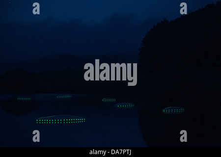 Die Land Art Arbeit bezeichnet Mégascospic Diatomeen, von Prisca Cosnier gemacht. Ein Projekt in den Horizont "Natur-Kunst" 2013 Rahmen Stockfoto