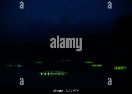 Die Land Art Arbeit bezeichnet Mégascospic Diatomeen, von Prisca Cosnier gemacht. Ein Projekt in den Horizont "Natur-Kunst" 2013 Rahmen Stockfoto