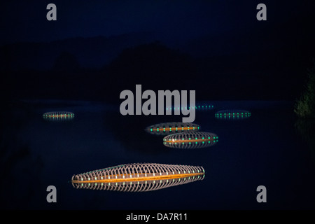 Die Land Art Arbeit bezeichnet Mégascospic Diatomeen, von Prisca Cosnier gemacht. Ein Projekt in den Horizont "Natur-Kunst" 2013 Rahmen Stockfoto