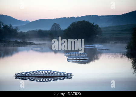 Die Land Art Arbeit bezeichnet Mégascospic Diatomeen, von Prisca Cosnier gemacht. Ein Projekt in den Horizont "Natur-Kunst" 2013 Rahmen Stockfoto