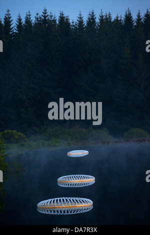 Die Land Art Arbeit bezeichnet Mégascospic Diatomeen, von Prisca Cosnier gemacht. Ein Projekt in den Horizont "Natur-Kunst" 2013 Rahmen Stockfoto