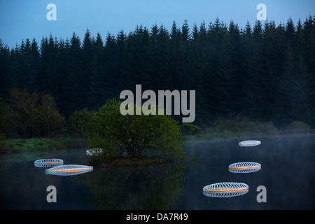 Die Land Art Arbeit bezeichnet Mégascospic Diatomeen, von Prisca Cosnier gemacht. Ein Projekt in den Horizont "Natur-Kunst" 2013 Rahmen Stockfoto