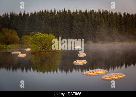 Die Land Art Arbeit bezeichnet Mégascospic Diatomeen, von Prisca Cosnier gemacht. Ein Projekt in den Horizont "Natur-Kunst" 2013 Rahmen Stockfoto