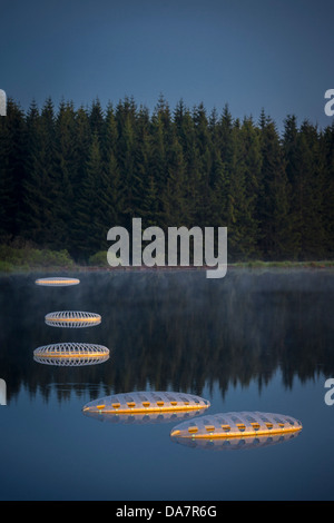 Die Land Art Arbeit bezeichnet Mégascospic Diatomeen, von Prisca Cosnier gemacht. Ein Projekt in den Horizont "Natur-Kunst" 2013 Rahmen Stockfoto