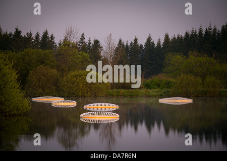 Die Land Art Arbeit bezeichnet Mégascospic Diatomeen, von Prisca Cosnier gemacht. Ein Projekt in den Horizont "Natur-Kunst" 2013 Rahmen Stockfoto