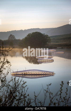 Die Land Art Arbeit bezeichnet Mégascospic Diatomeen, von Prisca Cosnier gemacht. Ein Projekt in den Horizont "Natur-Kunst" 2013 Rahmen Stockfoto