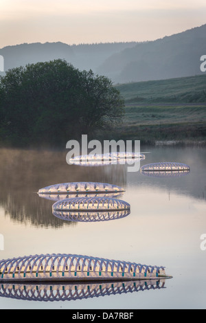 Die Land Art Arbeit bezeichnet Mégascospic Diatomeen, von Prisca Cosnier gemacht. Ein Projekt in den Horizont "Natur-Kunst" 2013 Rahmen Stockfoto