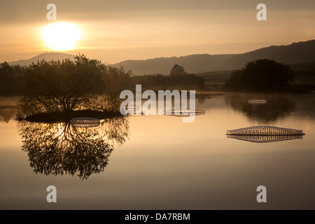 Die Land Art Arbeit bezeichnet Mégascospic Diatomeen, von Prisca Cosnier gemacht. Ein Projekt in den Horizont "Natur-Kunst" 2013 Rahmen Stockfoto