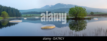 Die Land Art Arbeit bezeichnet Mégascospic Diatomeen, von Prisca Cosnier gemacht. Ein Projekt in den Horizont "Natur-Kunst" 2013 Rahmen Stockfoto