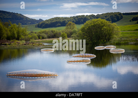 Die Land Art Arbeit bezeichnet Mégascospic Diatomeen, von Prisca Cosnier gemacht. Ein Projekt in den Horizont "Natur-Kunst" 2013 Rahmen Stockfoto