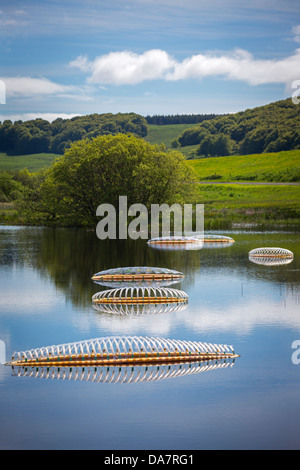 Die Land Art Arbeit bezeichnet Mégascospic Diatomeen, von Prisca Cosnier gemacht. Ein Projekt in den Horizont "Natur-Kunst" 2013 Rahmen Stockfoto