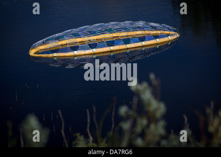 Die Land Art Arbeit bezeichnet Mégascospic Diatomeen, von Prisca Cosnier gemacht. Ein Projekt in den Horizont "Natur-Kunst" 2013 Rahmen Stockfoto