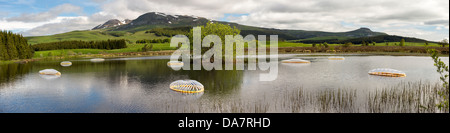 Die Land Art Arbeit bezeichnet Mégascospic Diatomeen, von Prisca Cosnier gemacht. Ein Projekt in den Horizont "Natur-Kunst" 2013 Rahmen Stockfoto