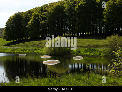 Die Land Art Arbeit bezeichnet Mégascospic Diatomeen, von Prisca Cosnier gemacht. Ein Projekt in den Horizont "Natur-Kunst" 2013 Rahmen Stockfoto