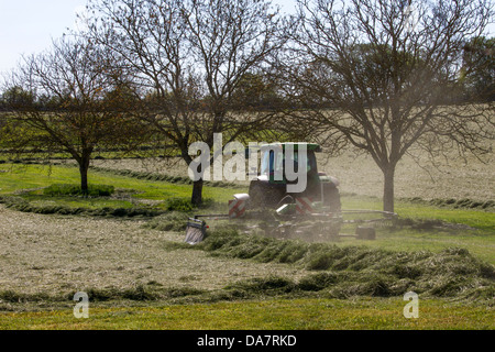 Traktor fahren hin und her zwischen den Bäumen, ein Feld von Heu im Frühjahr, Aquitaine Region Frankreichs zu ernten Stockfoto